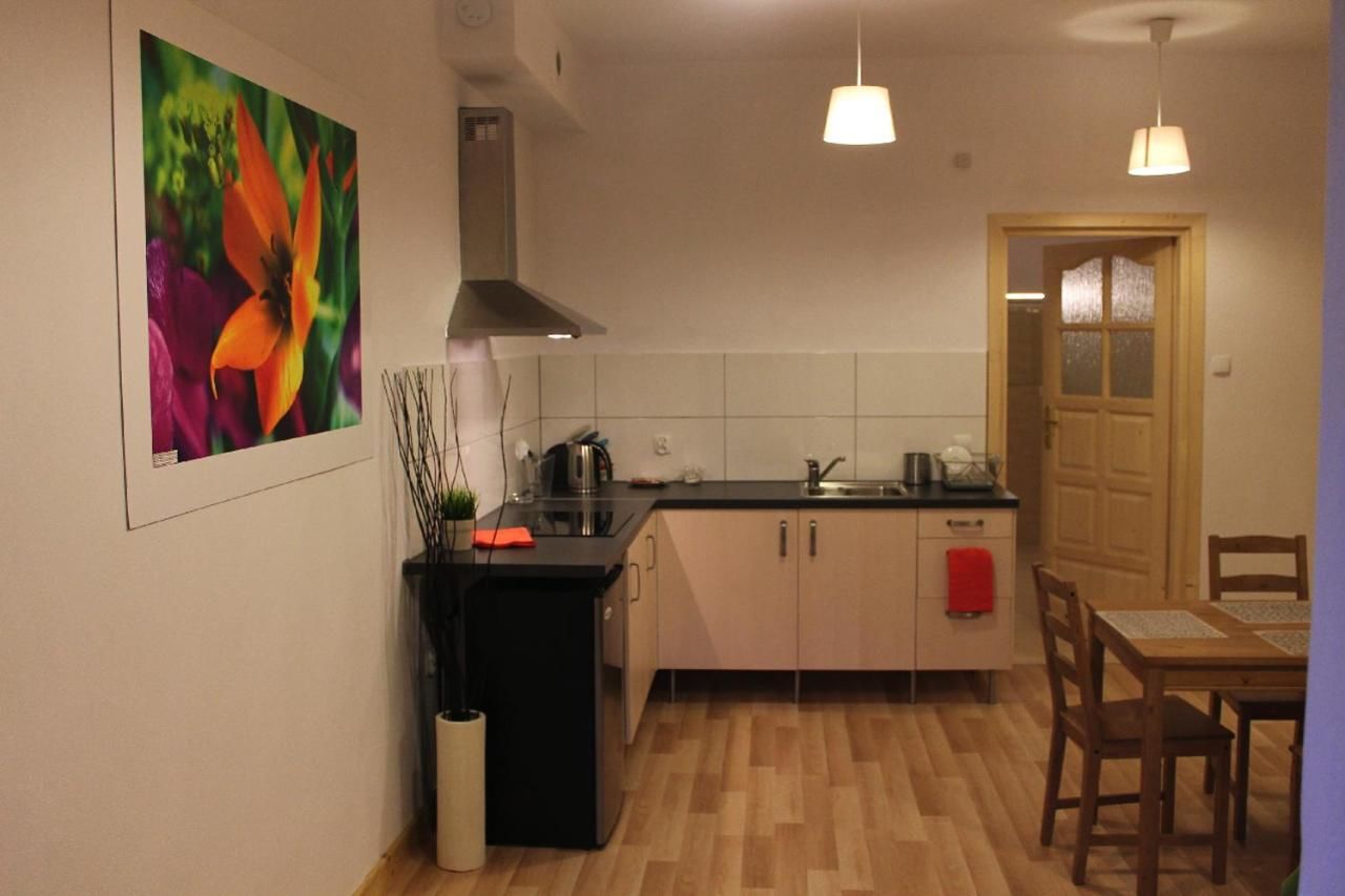 Апартаменты Apartament Bystre Закопане-42