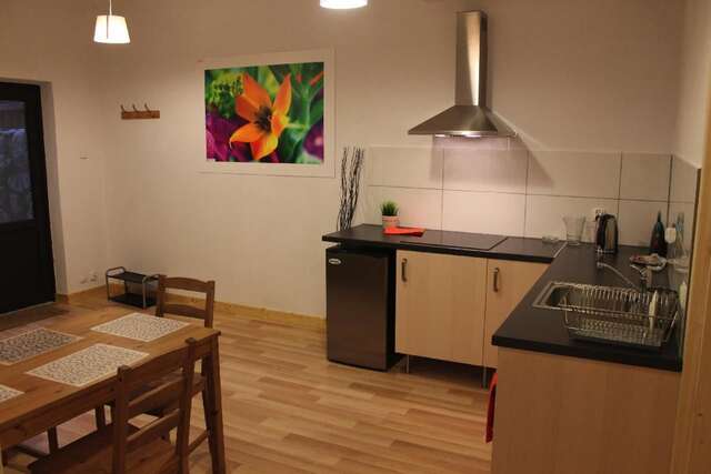 Апартаменты Apartament Bystre Закопане-25