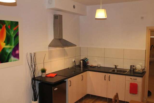 Апартаменты Apartament Bystre Закопане-39